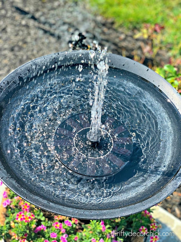 Sunny Days Bird Bath Fountain