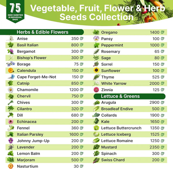 Spring Garden Fun Kit