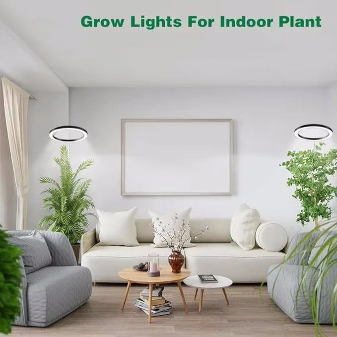 Sunshine Glow Plant Light