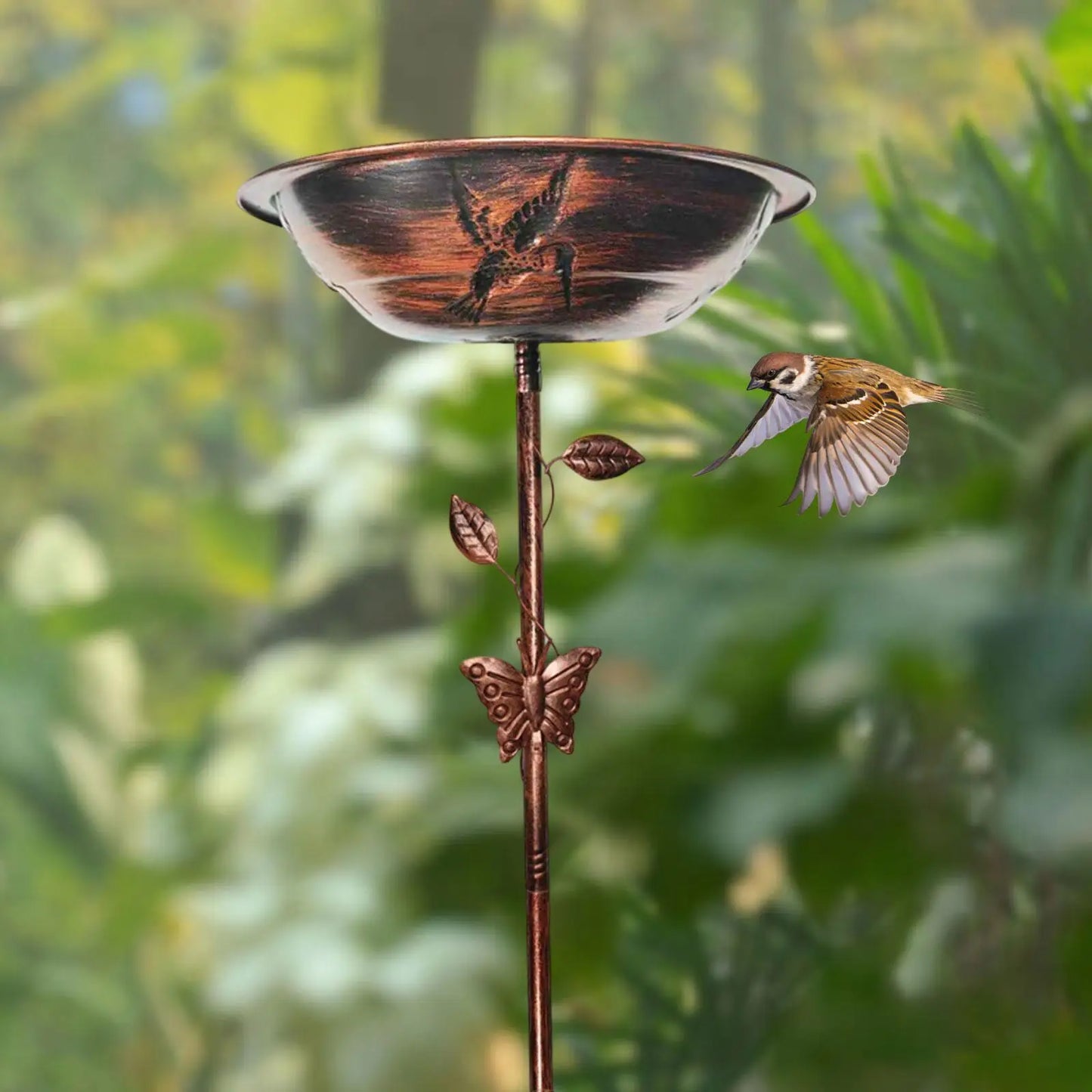 Charming Bird Oasis