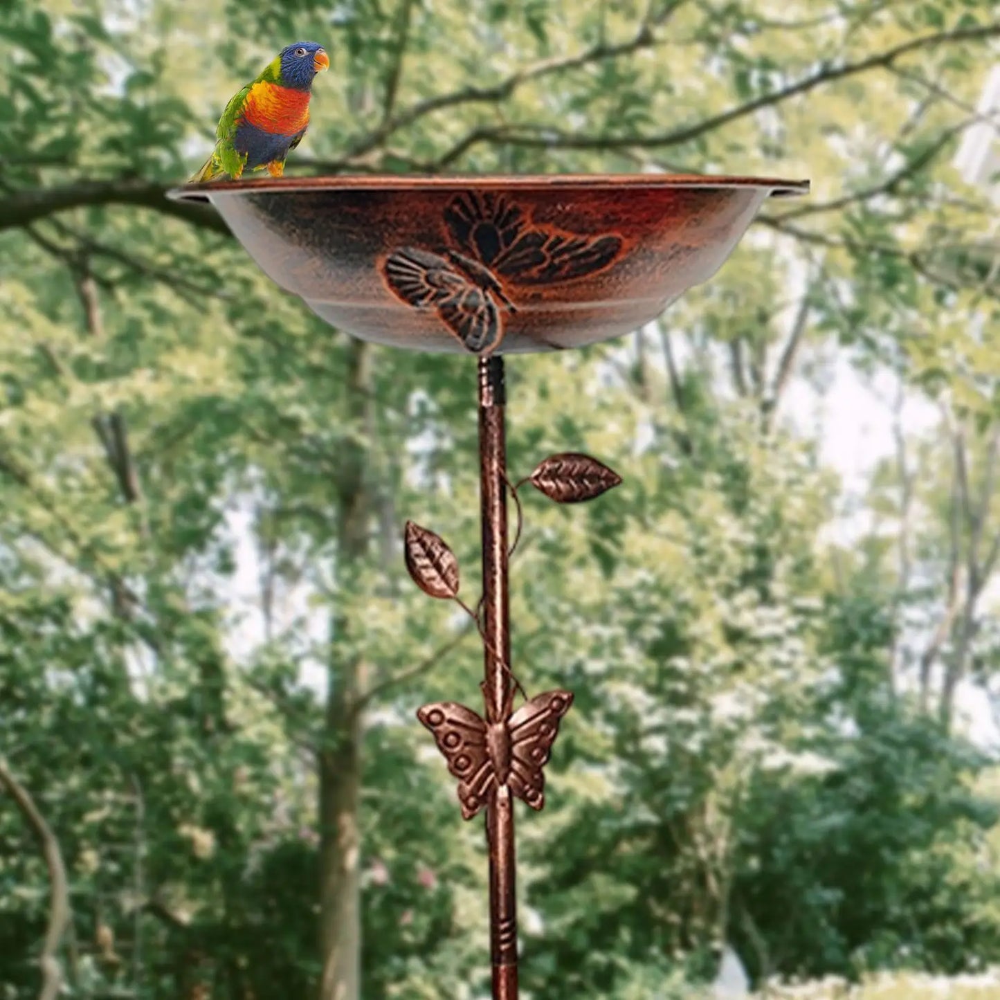 Charming Bird Oasis