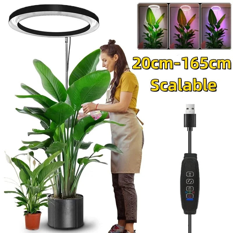 Sunshine Glow Plant Light
