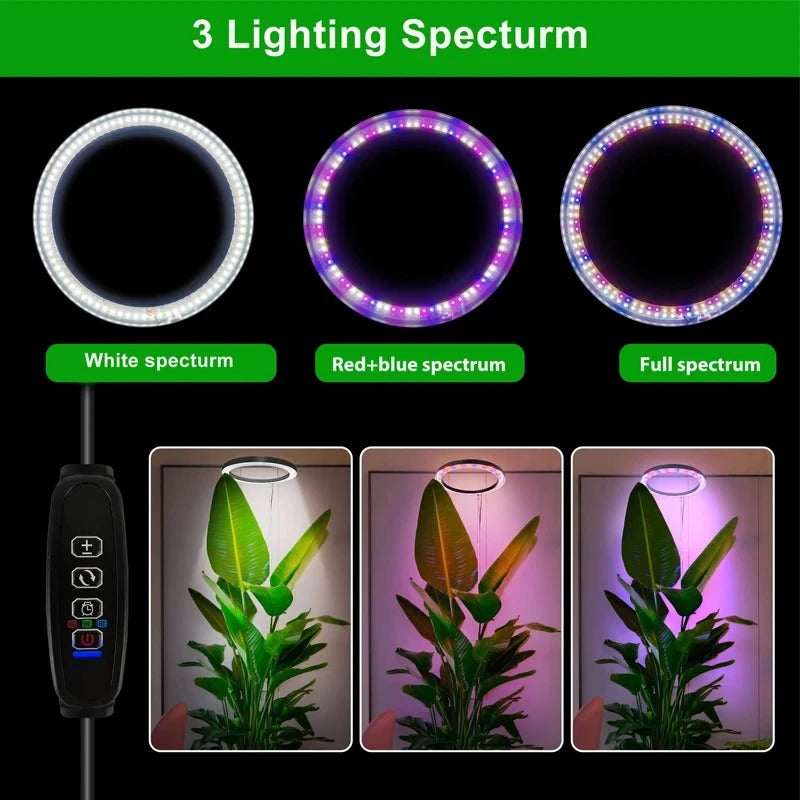 Sunshine Glow Plant Light