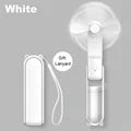 Pocket Breeze Fan & Charger