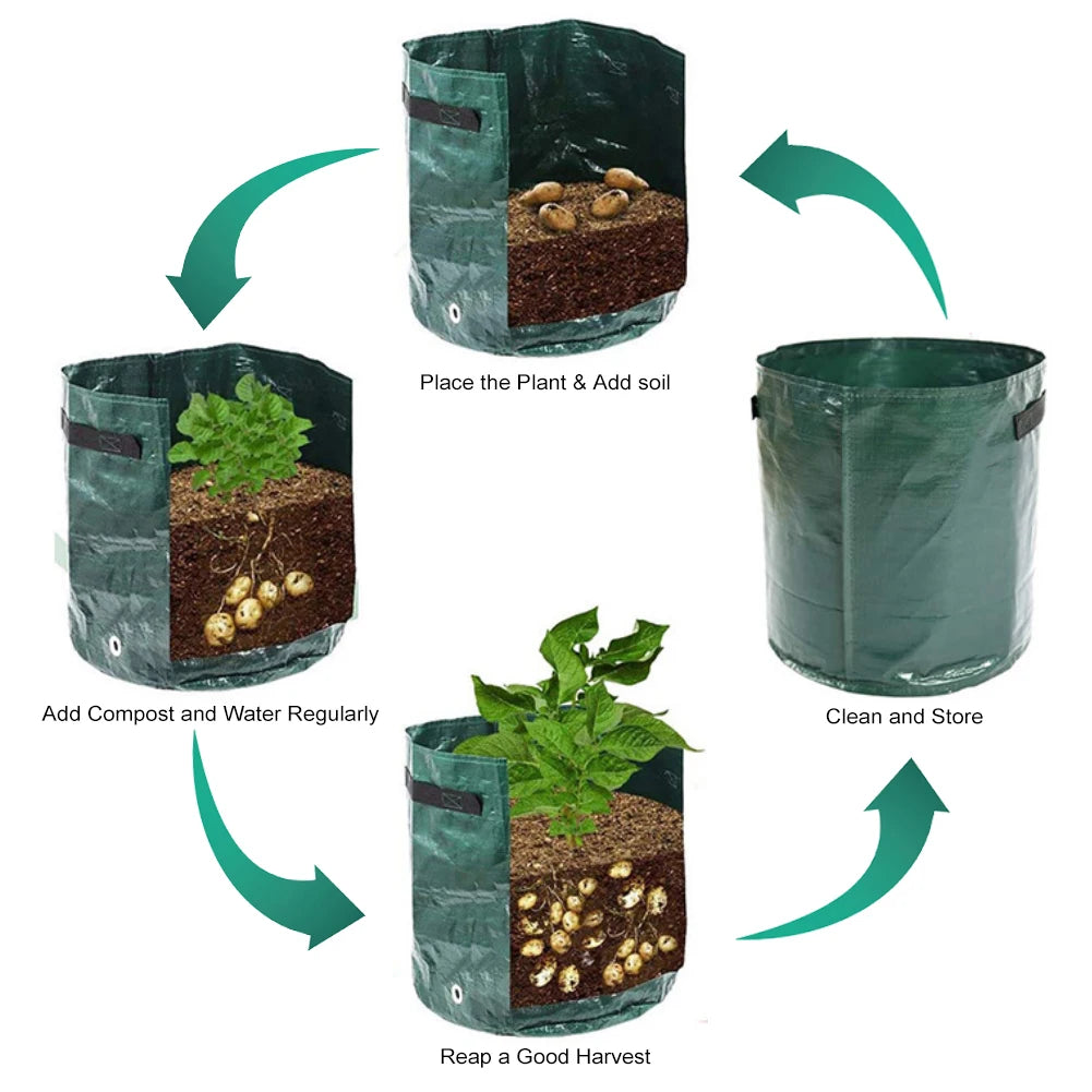 Vegetable Grow Bags