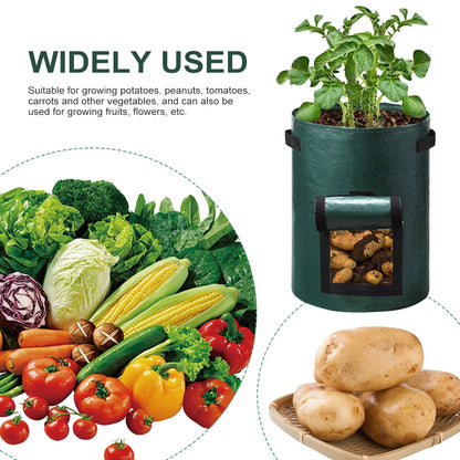 Vegetable Grow Bags