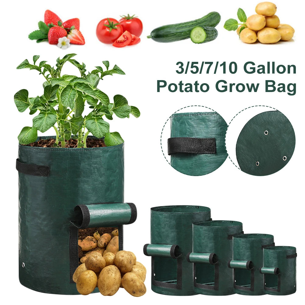 Vegetable Grow Bags