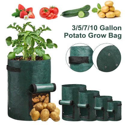 Vegetable Grow Bags