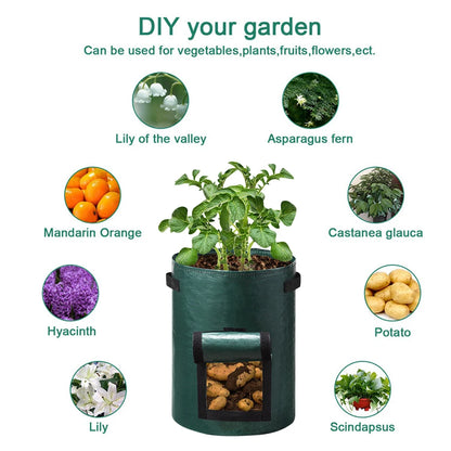 Vegetable Grow Bags