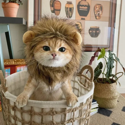 Lion Mane Cat Wig