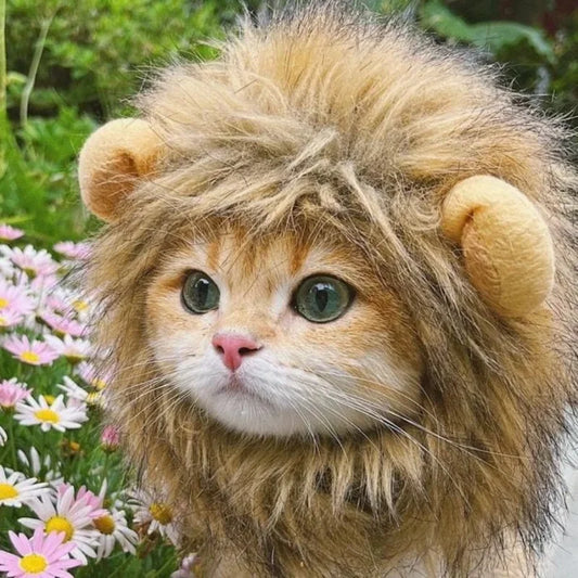 Lion Mane Cat Wig