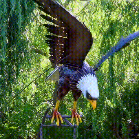 Eagle Wind Spinner Decor