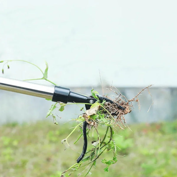 WeedWhisperer: The Effortless Root Slayer
