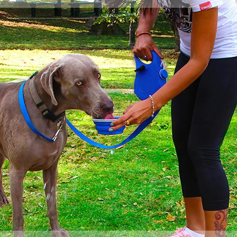 PoochPal Multitask Leash Kit