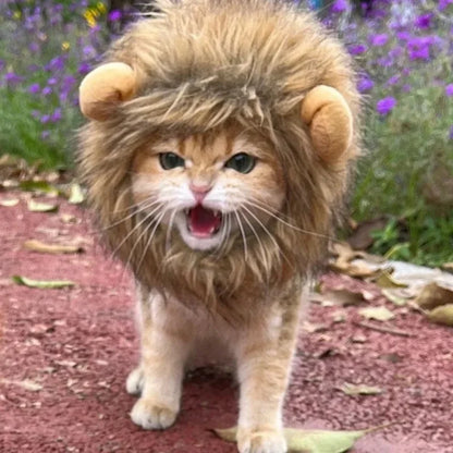 Lion Mane Cat Wig