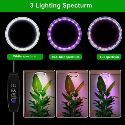 Sunshine Glow Plant Light
