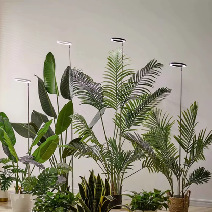 Sunshine Glow Plant Light
