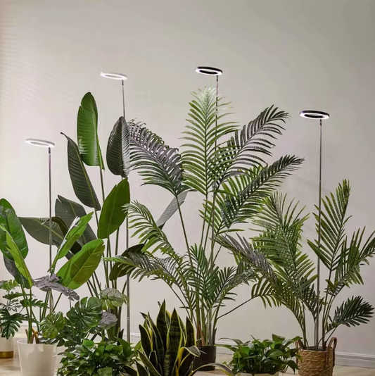 Sunshine Glow Plant Light